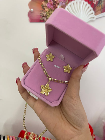 Hibiscus Set